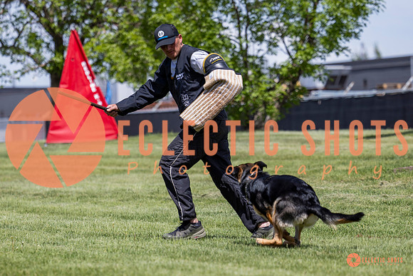 2025-K9Force-MayExams-7225