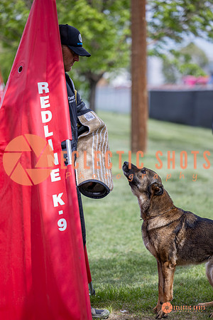 2025-K9Force-MayExams-6330