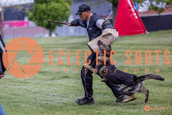2025-K9Force-MayExams-6945