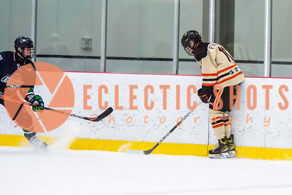 RMC2021-11-12-LloydBobcats-FVT-Birds-5991