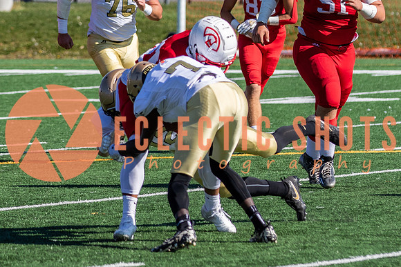 CalgaryColts-9559