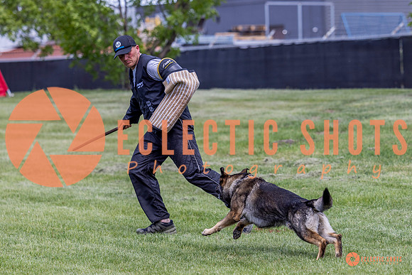 2025-K9Force-MayExams-6932