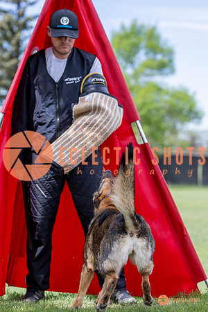 2025-K9Force-MayExams-6320