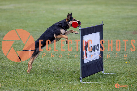 2025-K9Force-MayExams-6169