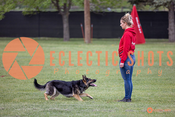 2025-K9Force-MayExams-5784
