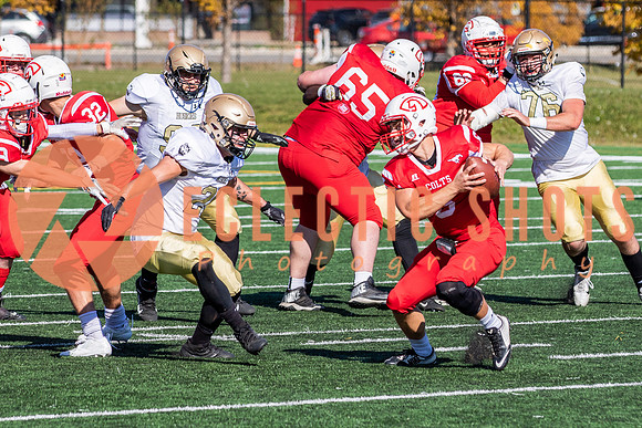 CalgaryColts-1375