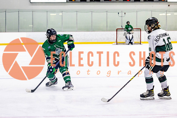 2022.11.12ShParkFlyers-FVTBirds-7002