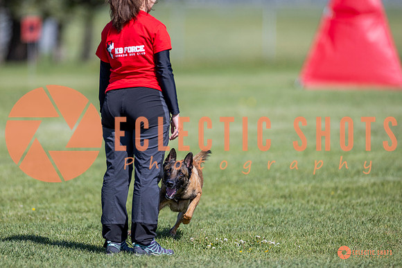 2025-K9Force-MayExams-8226