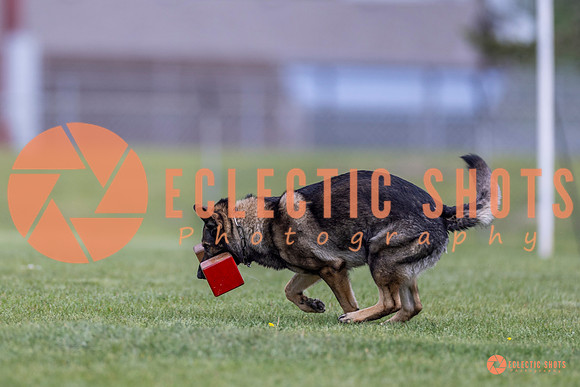 2025-K9Force-MayExams-6619