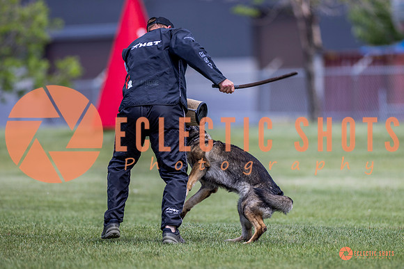 2025-K9Force-MayExams-7787