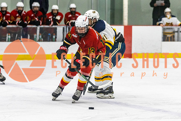 2021-11-13-StAlbertSabres-CalFlames-3863