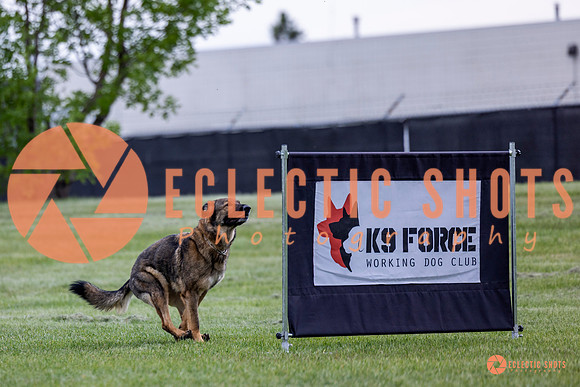 2025-K9Force-MayExams-5420