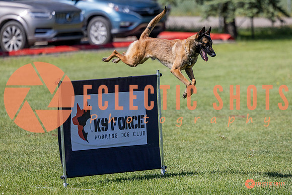 2025-K9Force-MayExams-7315