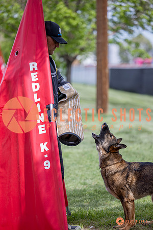 2025-K9Force-MayExams-6328