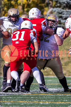 CalgaryColts-9775