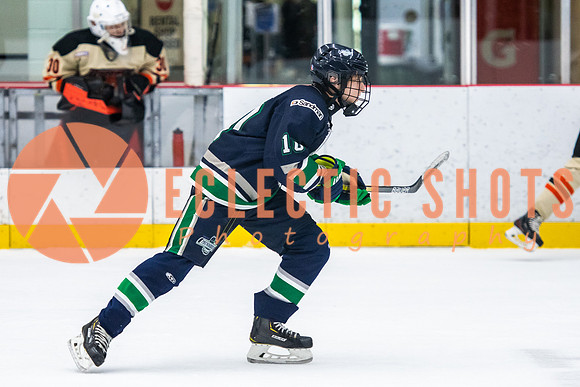 RMC2021-11-12-LloydBobcats-FVT-Birds-6001