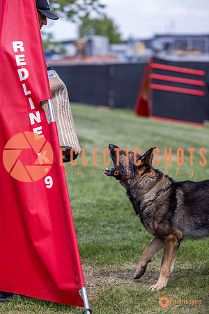 2025-K9Force-MayExams-6866
