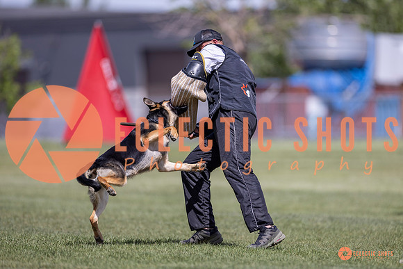 2025-K9Force-MayExams-8106