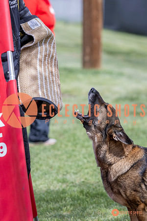 2025-K9Force-MayExams-6340