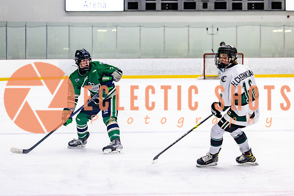 2022.11.12ShParkFlyers-FVTBirds-7003