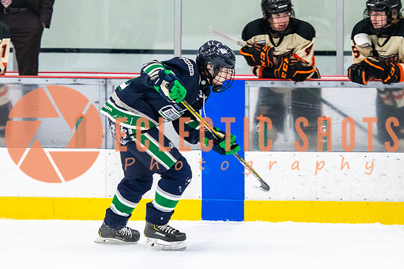 RMC2021-11-12-LloydBobcats-FVT-Birds-5994