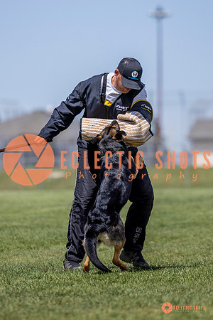 2025-K9Force-MayExams-7273