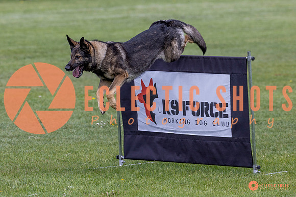 2025-K9Force-MayExams-5827