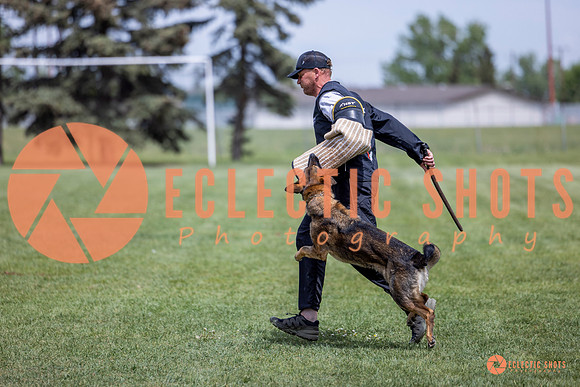 2025-K9Force-MayExams-6434