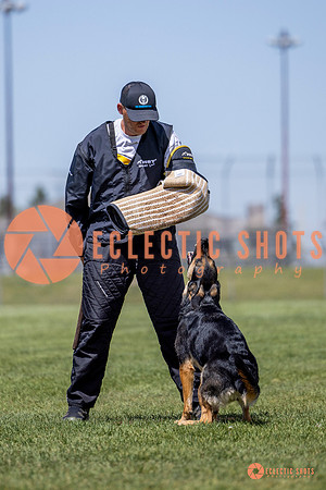 2025-K9Force-MayExams-7265