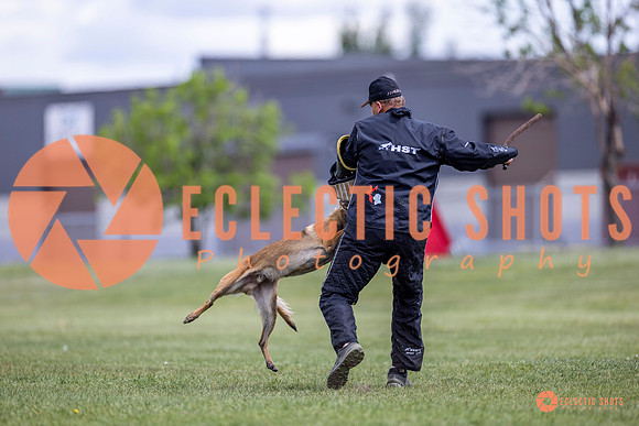 2025-K9Force-MayExams-8528