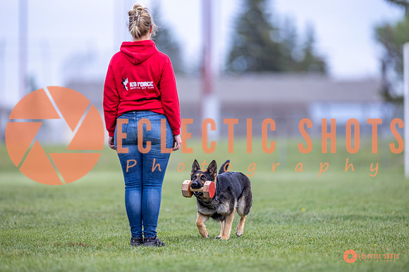 2025-K9Force-MayExams-6357