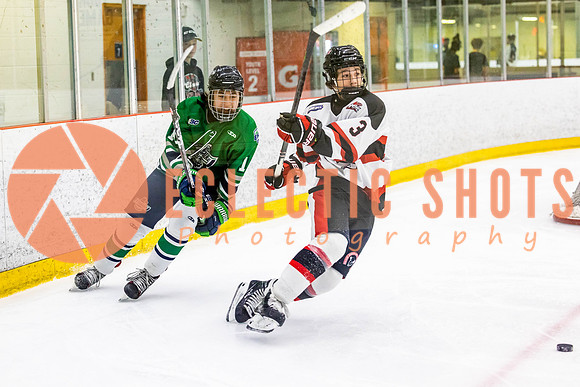 2022.11.11CalBisons-FVTBirds-4074