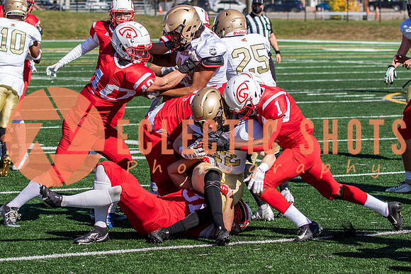 CalgaryColts-9848