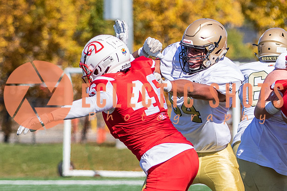 CalgaryColts-0685