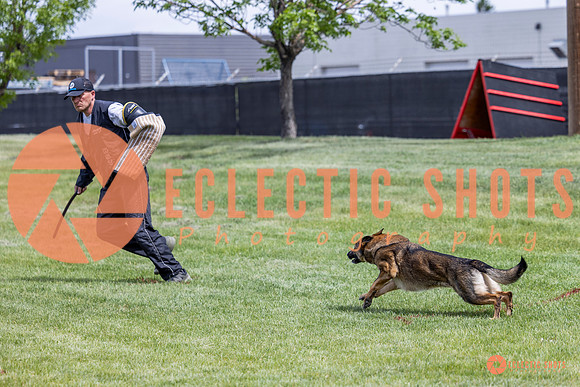 2025-K9Force-MayExams-6402