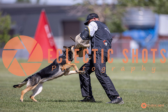 2025-K9Force-MayExams-8108