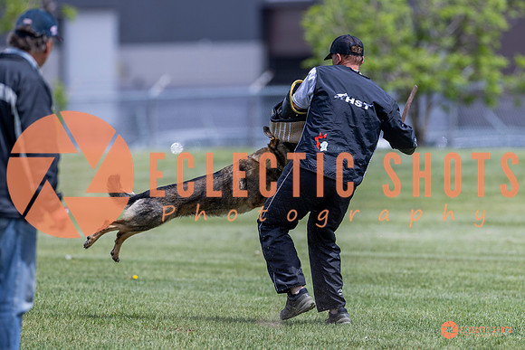2025-K9Force-MayExams-7338