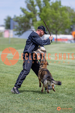 2025-K9Force-MayExams-6463