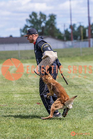2025-K9Force-MayExams-7705