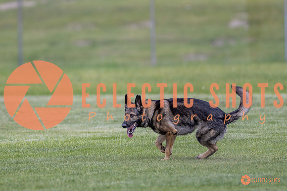 2025-K9Force-MayExams-6660