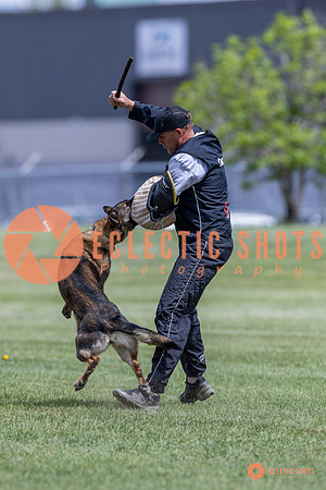 2025-K9Force-MayExams-7333