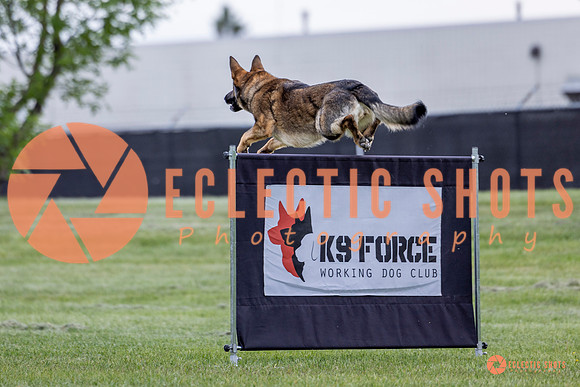 2025-K9Force-MayExams-5468