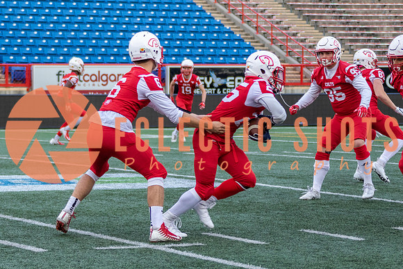 CalgaryColts2018-1009