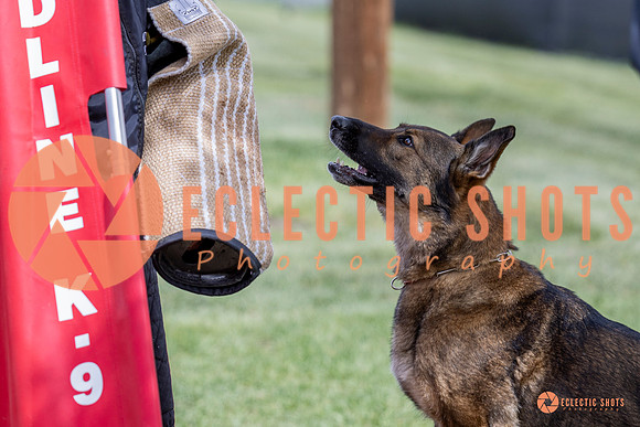 2025-K9Force-MayExams-6369
