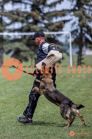 2025-K9Force-MayExams-6440