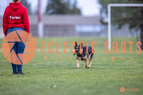 2025-K9Force-MayExams-6347