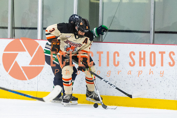 RMC2021-11-12-LloydBobcats-FVT-Birds-5982
