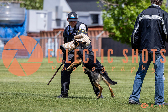 2025-K9Force-MayExams-7283