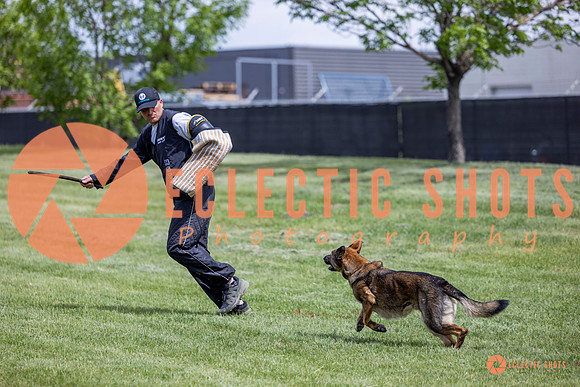 2025-K9Force-MayExams-6407
