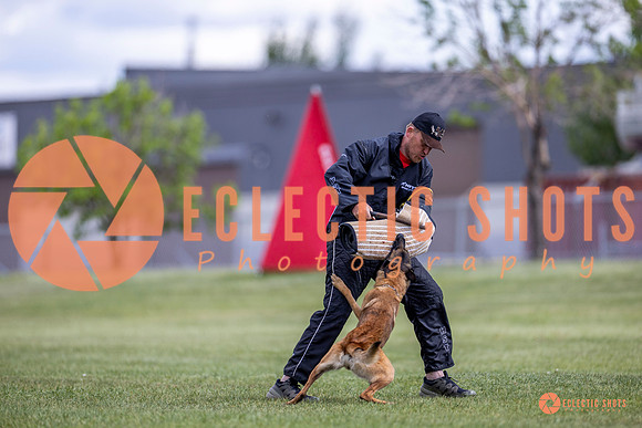 2025-K9Force-MayExams-8550